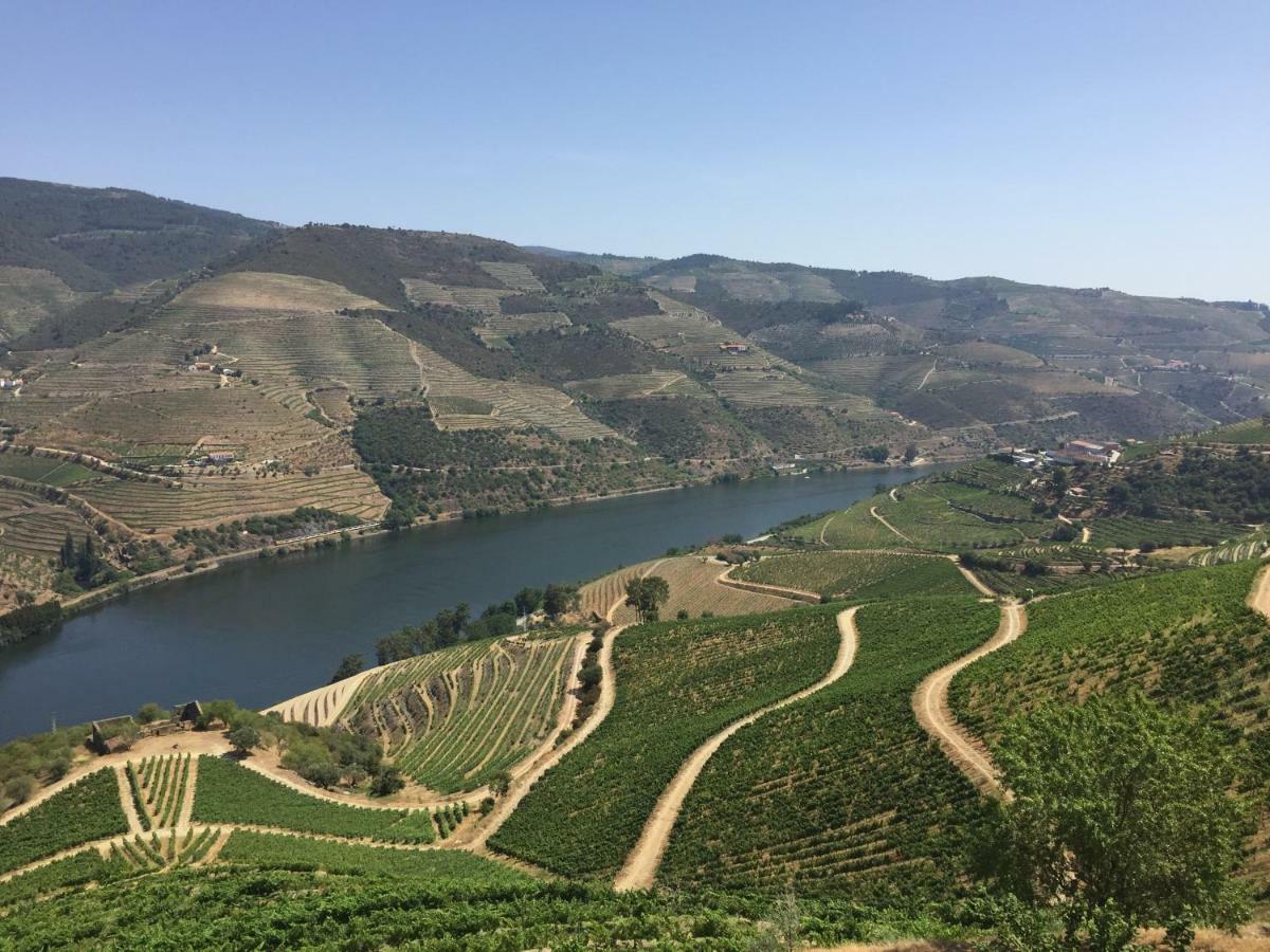 Refugio D'Anita Douro Valley House Barcos Eksteriør bilde