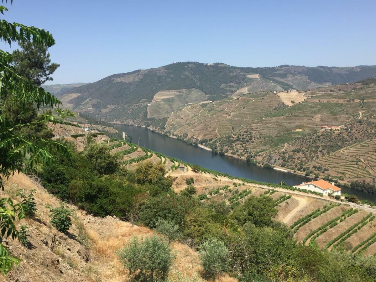 Refugio D'Anita Douro Valley House Barcos Eksteriør bilde
